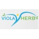 Viola Herb
